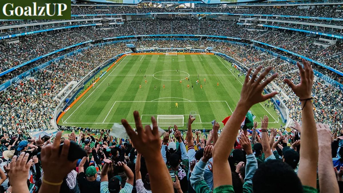 Brazil vs Haiti Live Stream