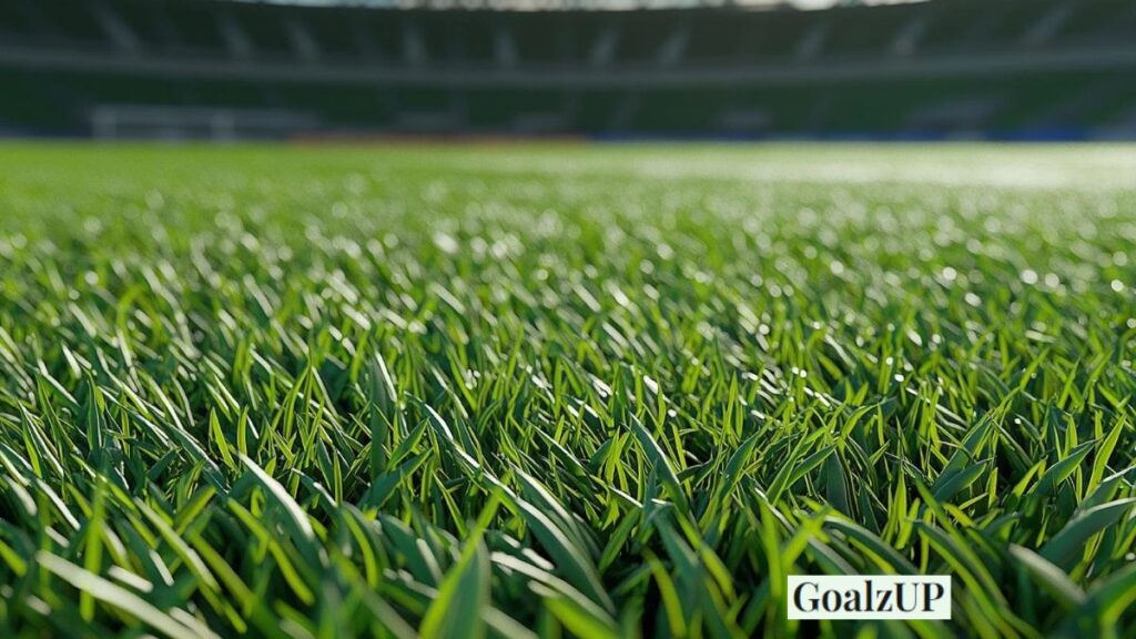 Host Nations and Home Turf Pressure Host Nations and Home Turf Pressure